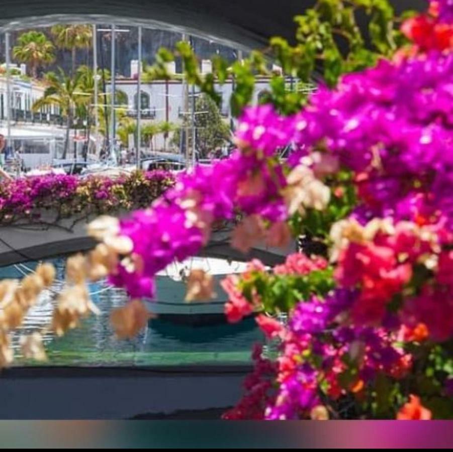 Dailos' Home ปวยร์โต เด มอแกน ภายนอก รูปภาพ